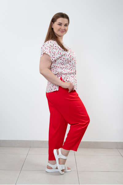 Штани N1412-25 вишневий