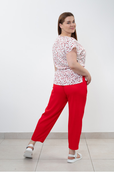 Штани N1412-25 вишневий