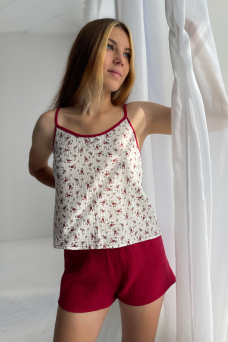 Комплект F 352 червоний дрібноцвіт