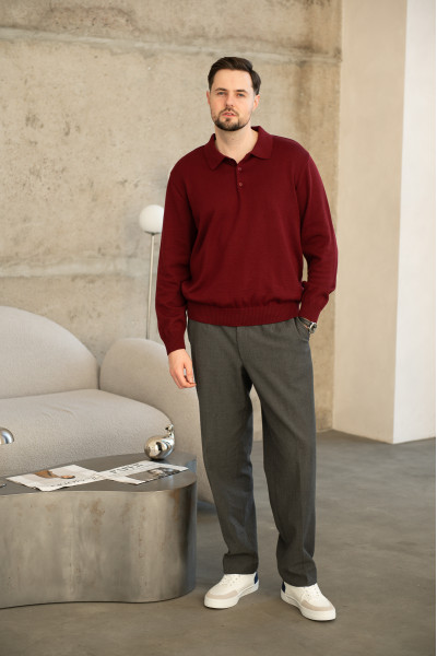 Джемпер чоловічий N2106-24 марсал