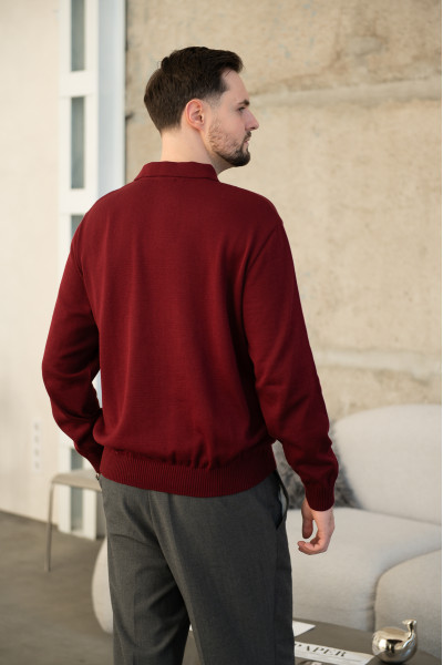 Джемпер чоловічий N2106-24 марсал