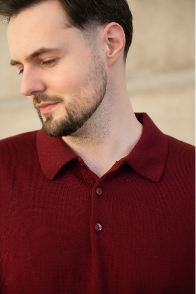 Джемпер чоловічий N2106-24 марсал