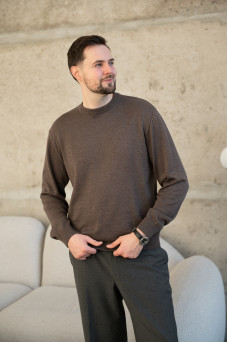 Джемпер чоловічий N2108-24 капучино