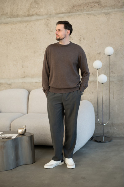 Джемпер чоловічий N2108-24 капучино