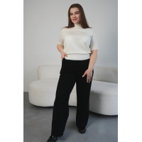 Штани N2403- 25 чорні