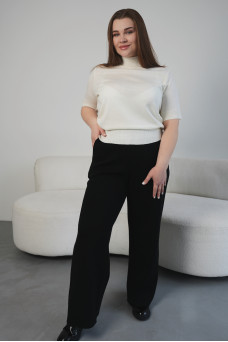 Штани N2403- 25 чорні